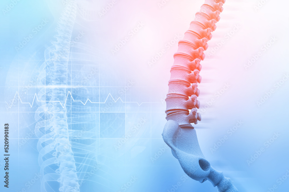 Human spine on blurred medical background. 3d illustration Stock
