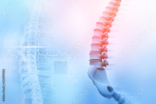 Foto Human spine on blurred medical background. 3d illustration
