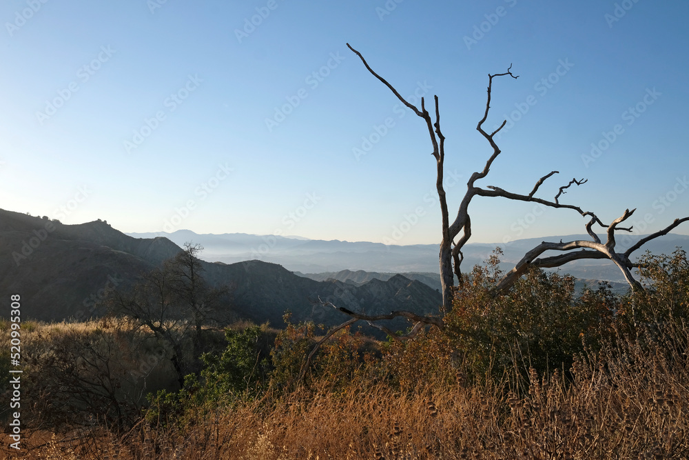 Landscape of the Ed Davis Park at Towsley Canyon - California, USA Landscape of the Ed Davis Park at Towsley Canyon - California, USA