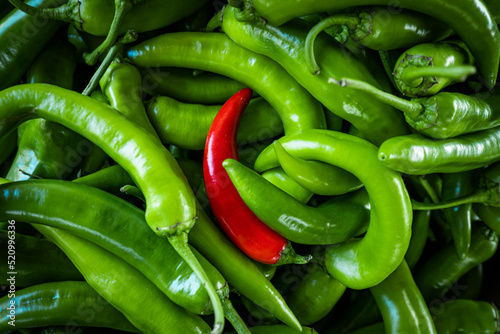 Photo Raw Green Organic Serrano Peppers.  green chili peppers