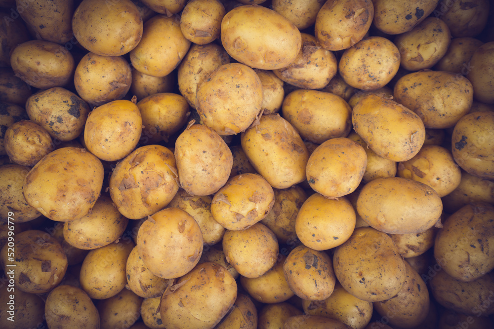 Fresh Organic Whole Potato. Farmers Market Fresh Organic Whole Potato. Farmers Market