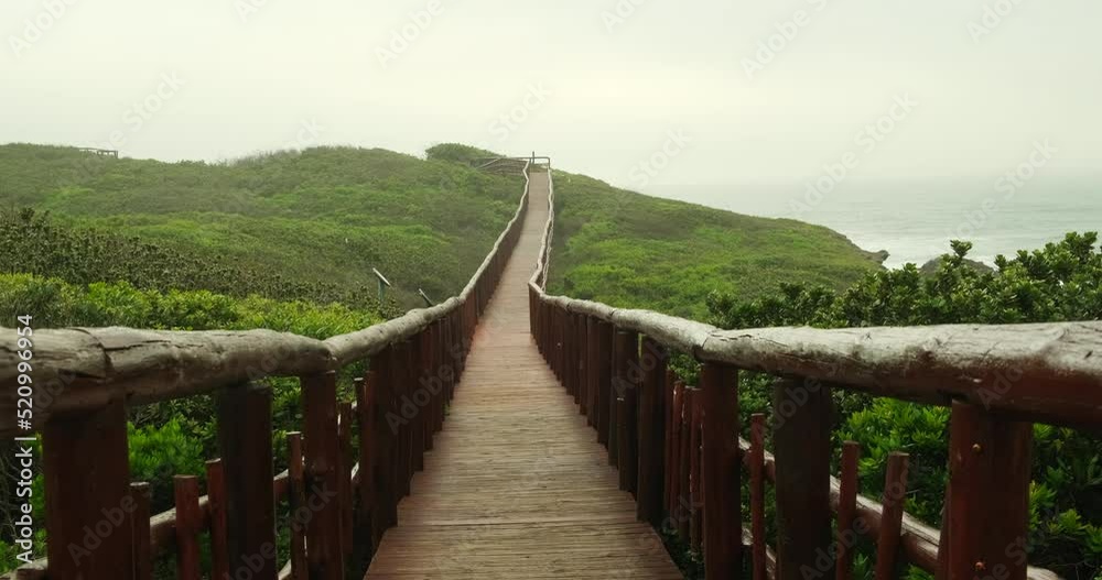 wooden bridge and autumn forest. old wooden bridge near the ocean among tall tropical grass wooden bridge and autumn forest. old wooden bridge near the ocean among tall tropical grass