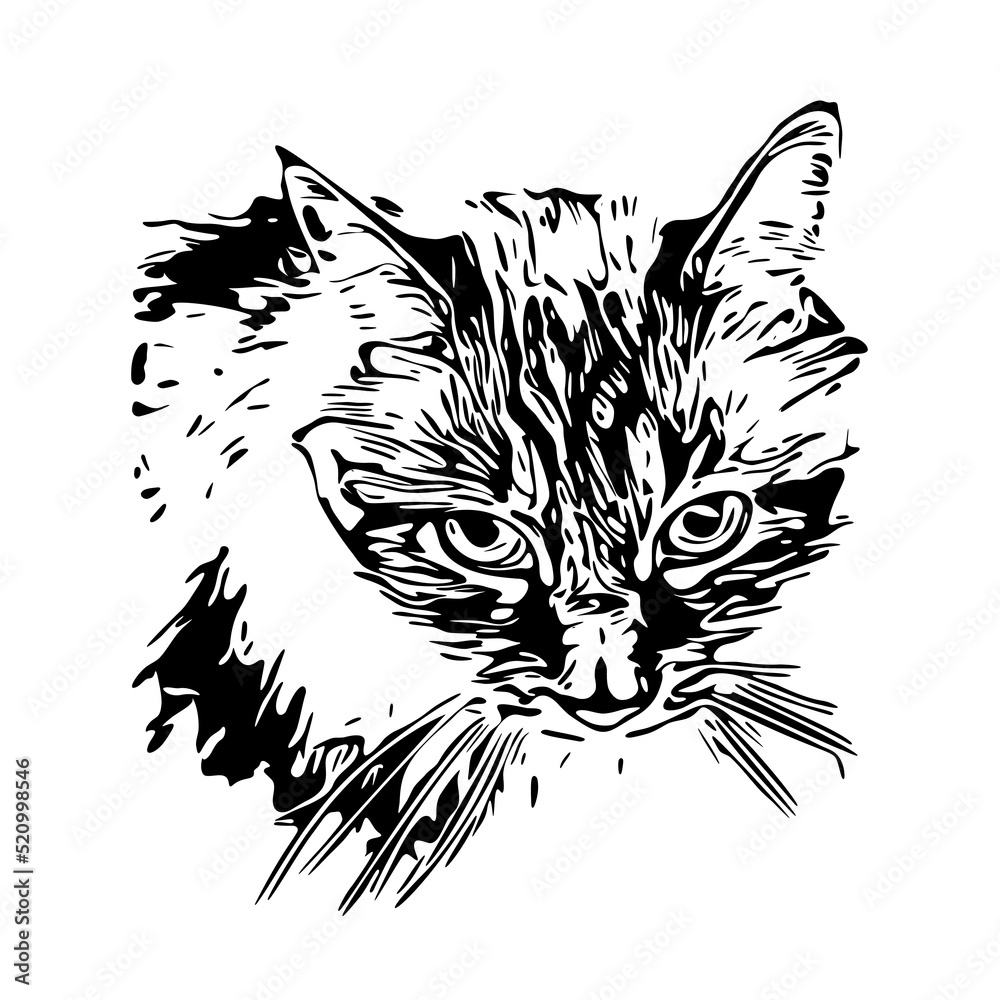 The cat's head. Monochrome drawing for a stencil. Vector illustration ...