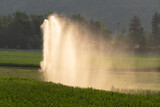 Sprinkler irrigation system in the countryside at sunrise.