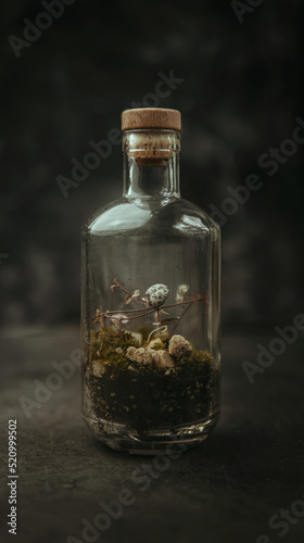 forest in glass in studio on dark background © TheMist