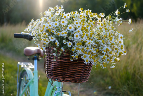 beautiful vintage bicycle with a bouquet of wild flowers in a basket