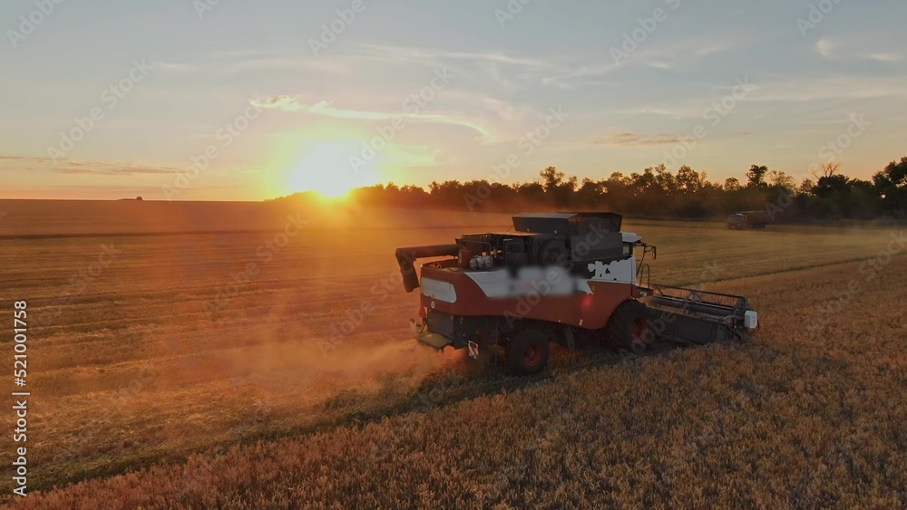 Fototapeta premium agriculture. harvester harvests wheat in a field at sunset. business farm agriculture concept. harvester combine working in agricultural field of wheat plantation. lifestyle agriculture concept