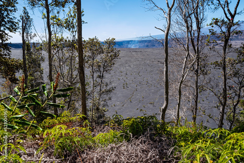 crater rim trail woodlands and halemaumau crater in hawaii volcanoes national park photo