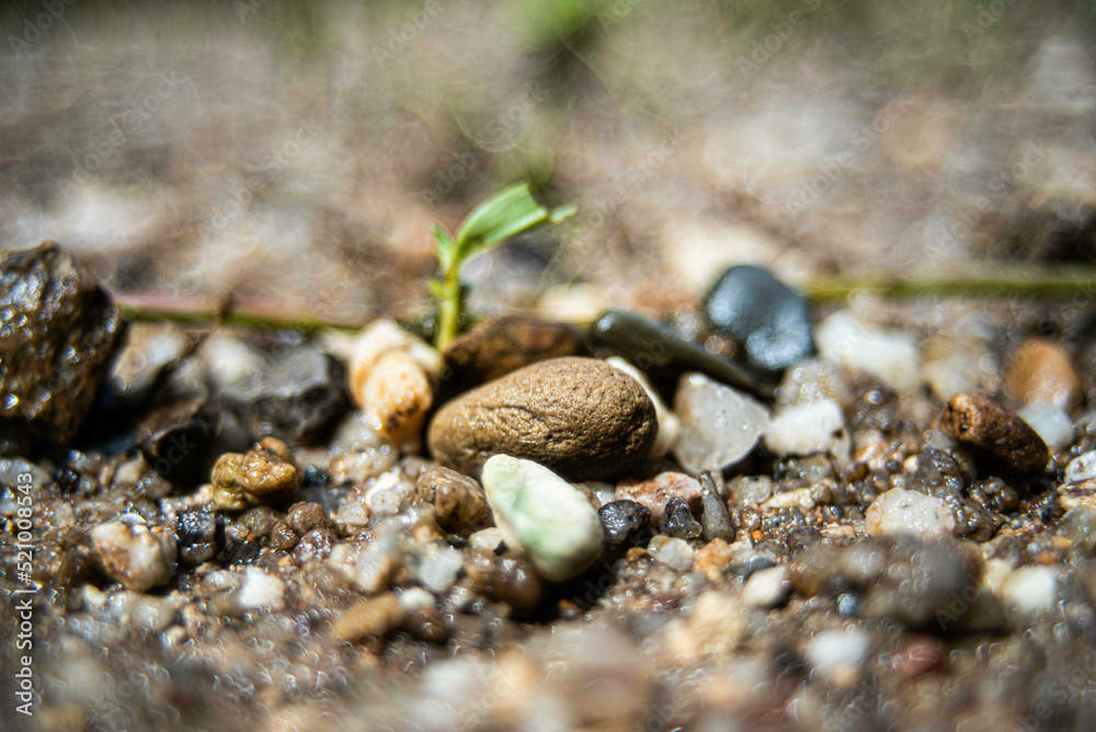 Small pebbles were washed by the water and landed on the banks of the river. Small pebbles were washed by the water and landed on the banks of the river.