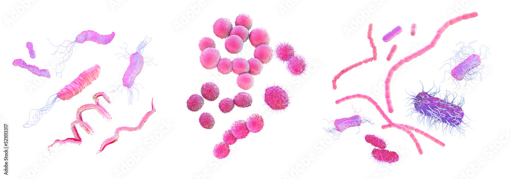 Different shapes of bacteria, 3d illustration Different shapes of bacteria, 3d illustration