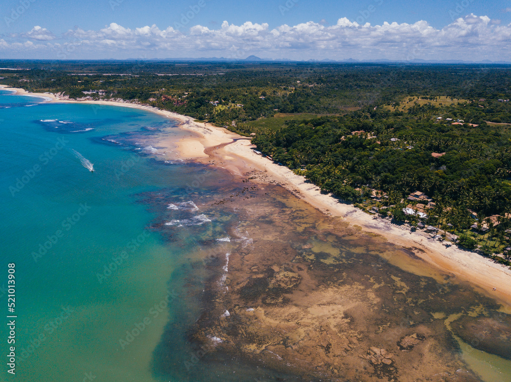 Fototapeta premium beach with blue water and trees