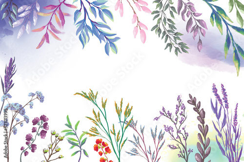 background with healing herbs  plants  flowers in boho style  illustrations  wallpaper