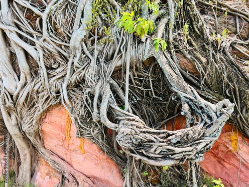 Wallpaper Mural fishing net and rope Torontodigital.ca
