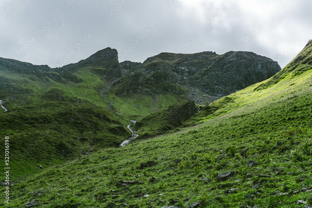 Fototapeta premium green valley in the mountains
