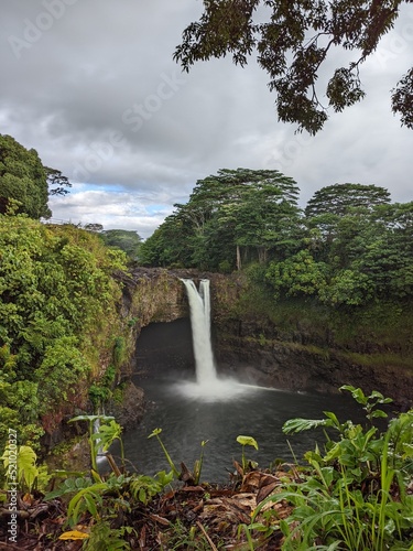 waterfall in the forest