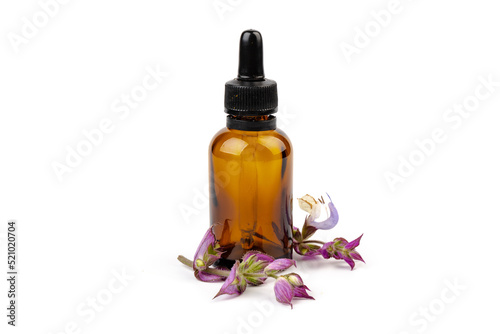 A bottle of essential oil with fresh blooming clary sage twigs on white background.