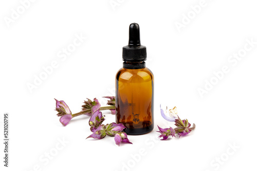 A bottle of essential oil with fresh blooming clary sage twigs on white background.