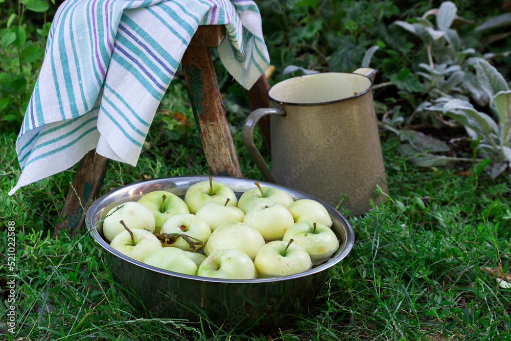 A basin with water and apples on the background of a summer garden.