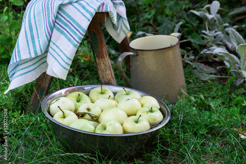 Obraz na płótnie A basin with water and apples on the background of a summer garden. w salonie