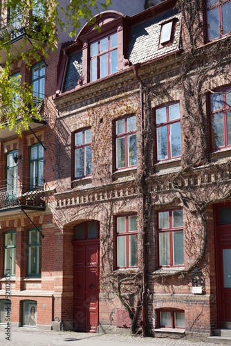 Building old with tree growin red windows and doors