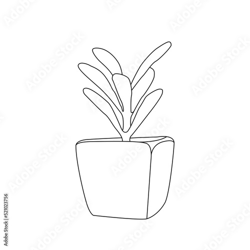 Continuous line drawing of a flowers pots. Beautiful flowers isolated white background. Vector illustration