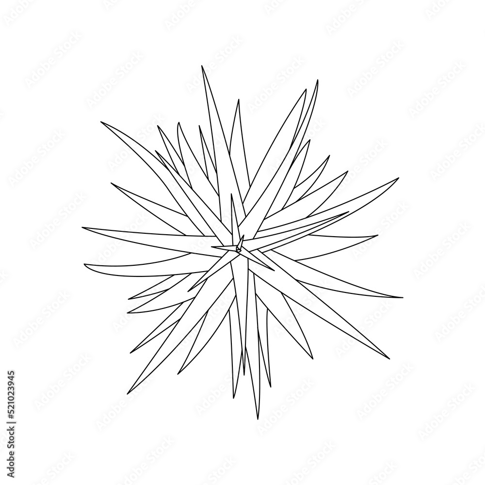 Continuous line drawing of a flowers pots. Beautiful flowers isolated white background. Vector illustration Continuous line drawing of a flowers pots. Beautiful flowers isolated white background. Vector illustration