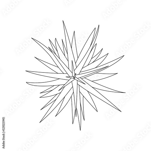 Continuous line drawing of a flowers pots. Beautiful flowers isolated white background. Vector illustration