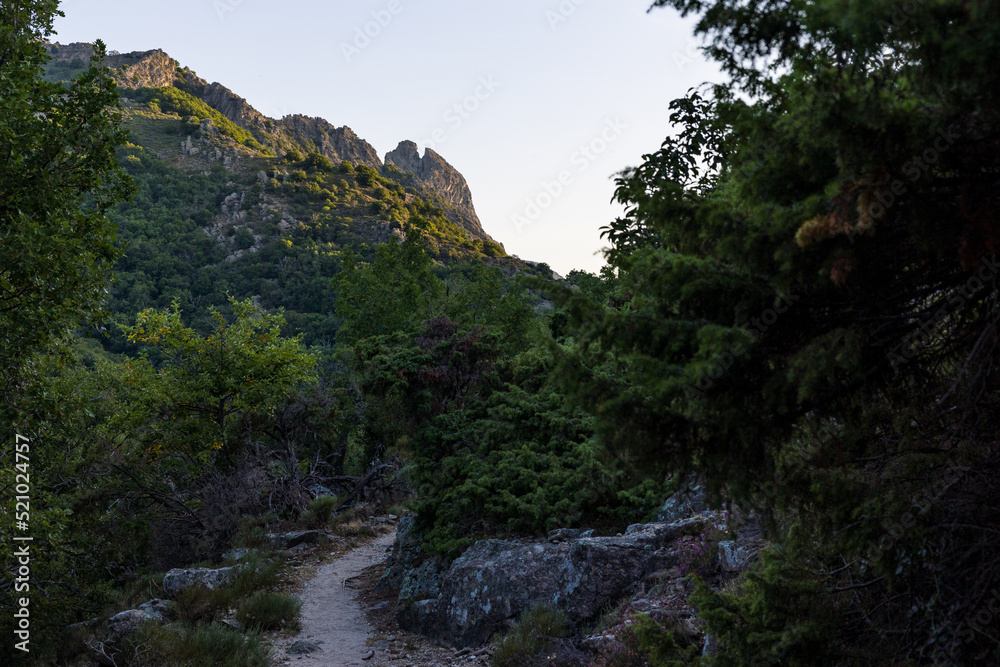 Chemin vers le Hameau du Bardou près des Gorges de l'Héric au lever du soleil