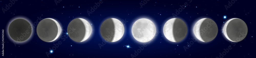 Panoramic night scenery, forest on hotizon, starry sky, cycle from new moon to full infographic science background. Lunar eclipse, total partial eclipse, moon phases and stages vector illustration