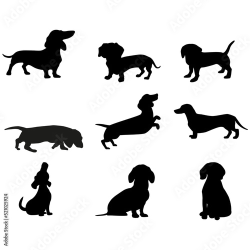 Dachshund icon vector set. Dog illustration sign collection. Home pet symbol or logo.