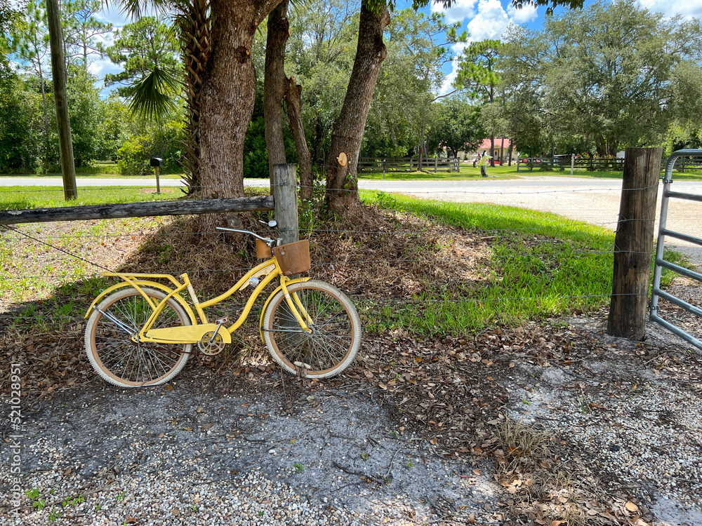 Fototapeta premium A yellow rusted vintage bicycle leaning up against a tree on a farm.