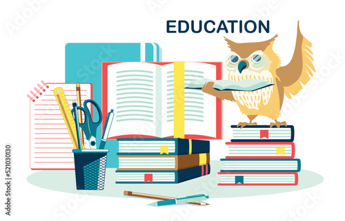 Education banner template. Wise owl studying school subject. Stack of books for leisure time spending. Bookstore, library, online education, ebook flat vector illustration