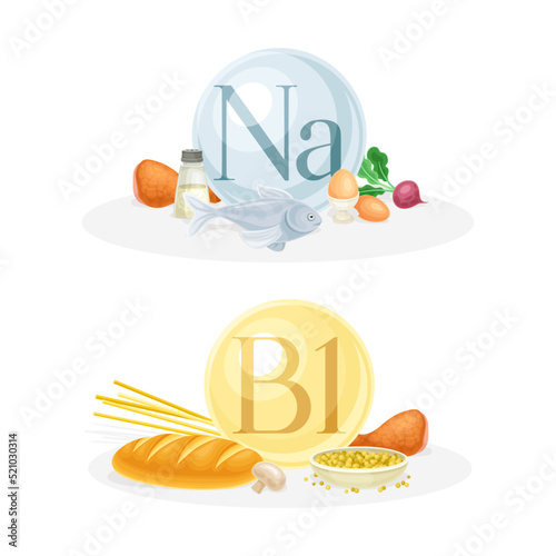 Products ontaining Sodium and Vitamin B1 with Fatty Fish, Grain and Meat Vector Composition Set