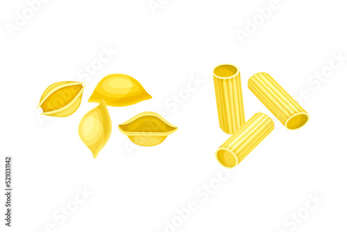 Conchiglie and Cannelloni Pasta of Wheat Flour for Cooking and Culinary Vector Set