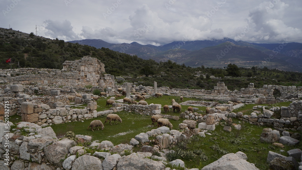 Xanthos / Ksantos an ancient city ant the capital of Lycia. Ruins and an amphitheater between Fethiye and Kas in Turkey.