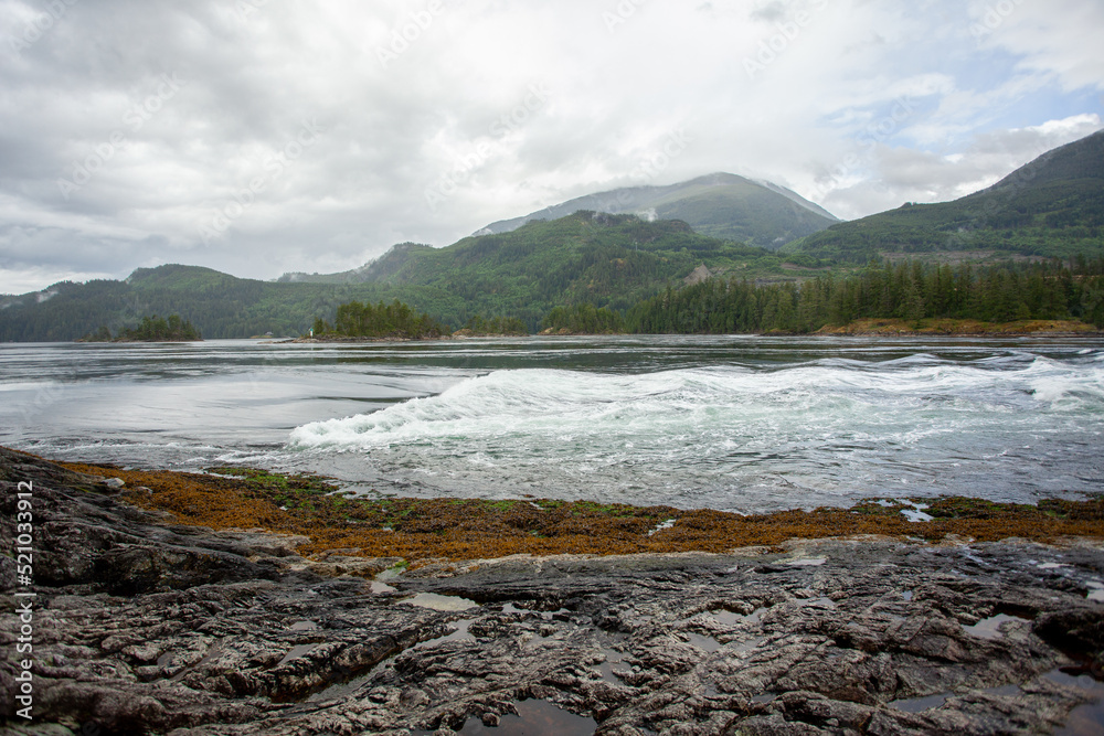 The Skookumchuck Rapids in Sechelt Inlet at a a high tide. View the rapids or whirlpools with the ebb and flow of ocean currents.