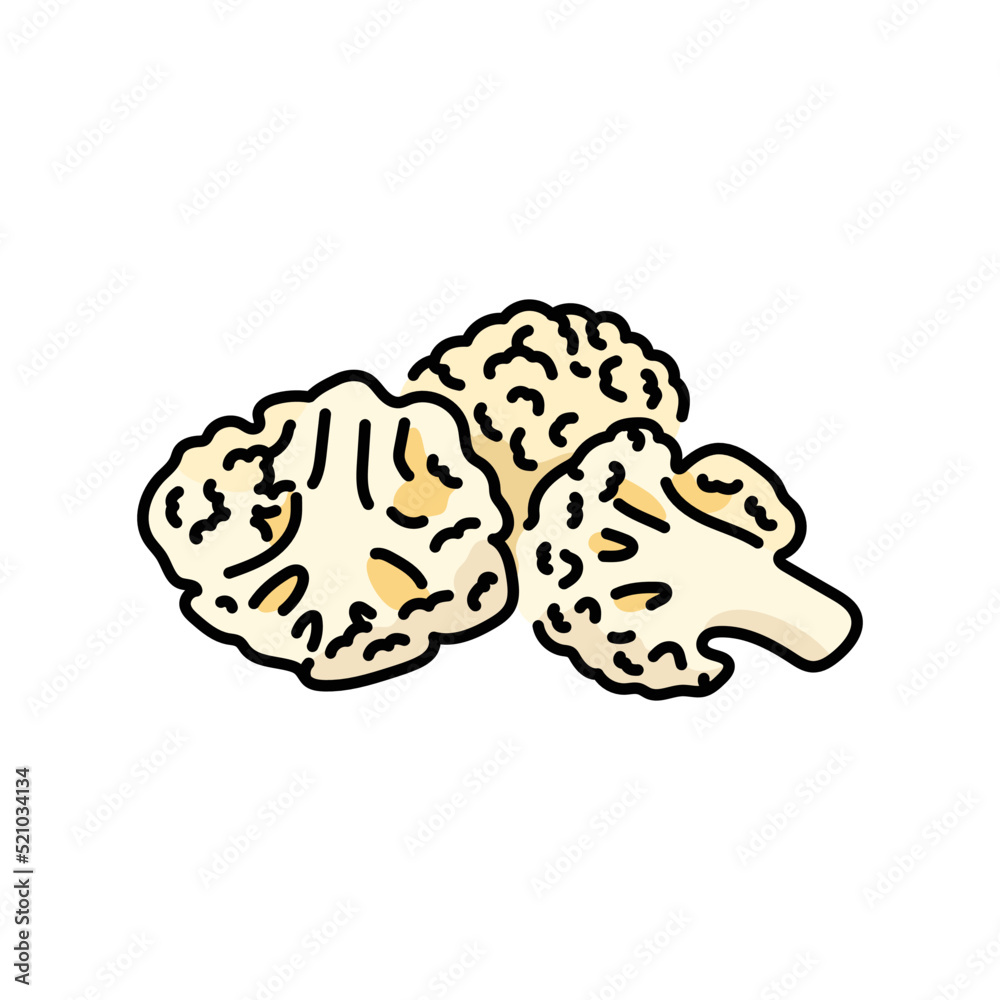 Cauliflower color line icon. Natural vegetable. Cauliflower color line icon. Natural vegetable.