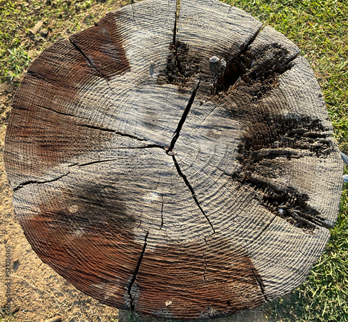 Close-up of weathered, cracked wooden post