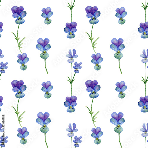 Fototapeta Naklejka Na Ścianę i Meble -  Seamless pansies flowers pattern. Watercolor floral background with blue and violet wildflowers, stem, leaves for textile, wallpapers