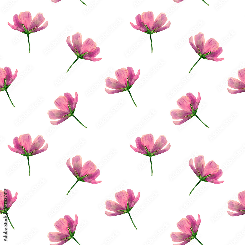 Seamless cosmos wildflowers pattern. Watercolor floral background with pink and violet flowers, stem  for textile, wallpapers