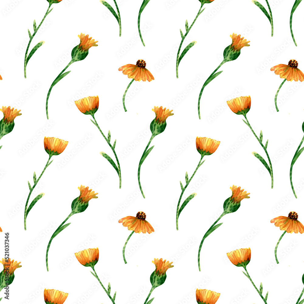 Seamless calendula flowers pattern. Watercolor background with yellow and orange wildflowers, green leaves on stem. Ornament with plants for textile, wallpapers - obrazy, fototapety, plakaty 