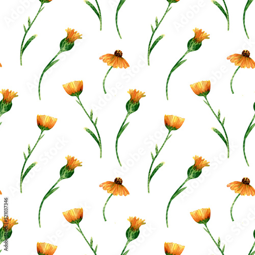 Seamless calendula flowers pattern. Watercolor background with yellow and orange wildflowers  green leaves on stem. Ornament with plants for textile  wallpapers