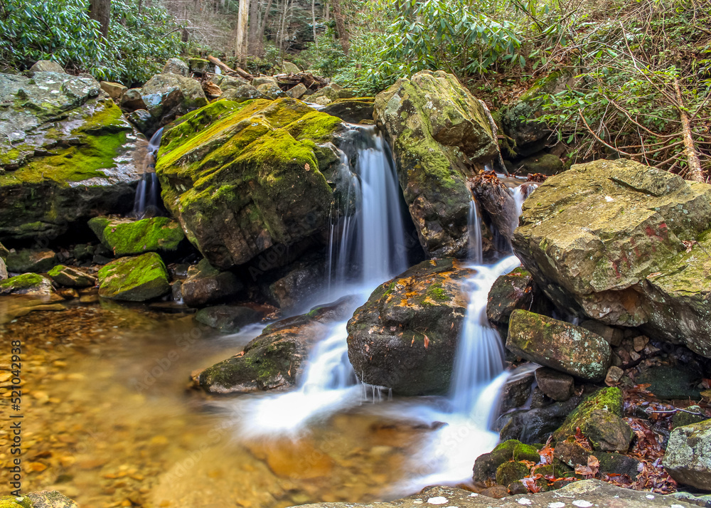 waterfall in the forest waterfall in the forest