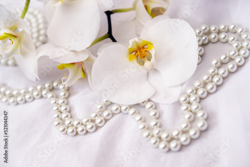 The branch of white orchids on white fabric background 