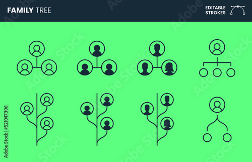 Genealogical family tree vector design. Family tree icon set with editable strokes. Bloodline design variations.