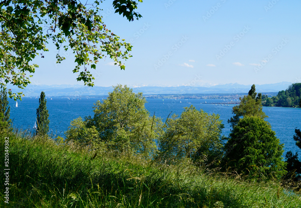 a beautiful green meadow on Flower Island Mainau with lake Constance or Bodensee and the Alps in the background (Germany)	