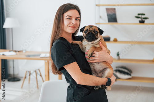 Woman holding the dog in hands. Pug is in the grooming salon with veterinarian that is in black clothes © standret