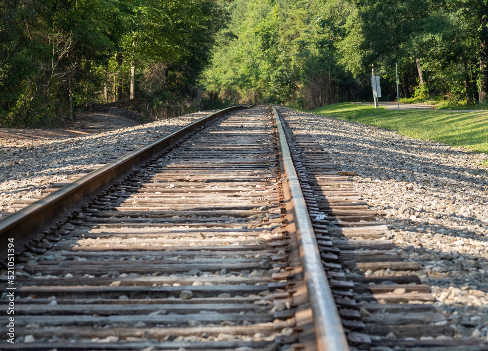 Railroad tracks through a park