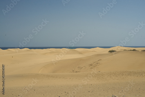 Sandy Dunes up close