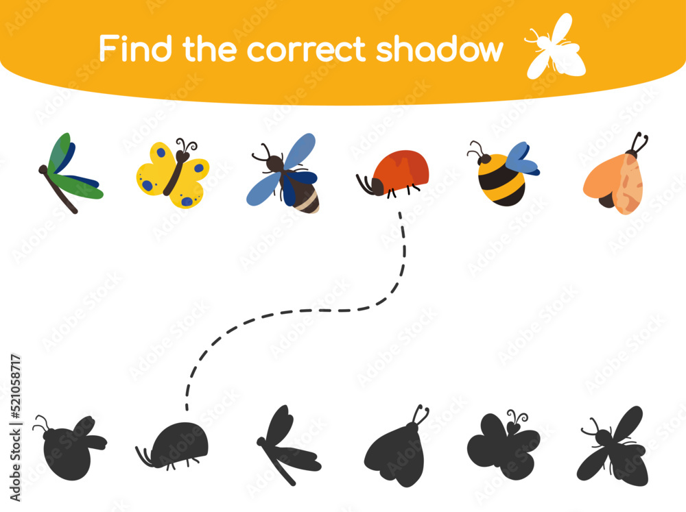 Find the correct shadow kids game vector illustration isolated on white background